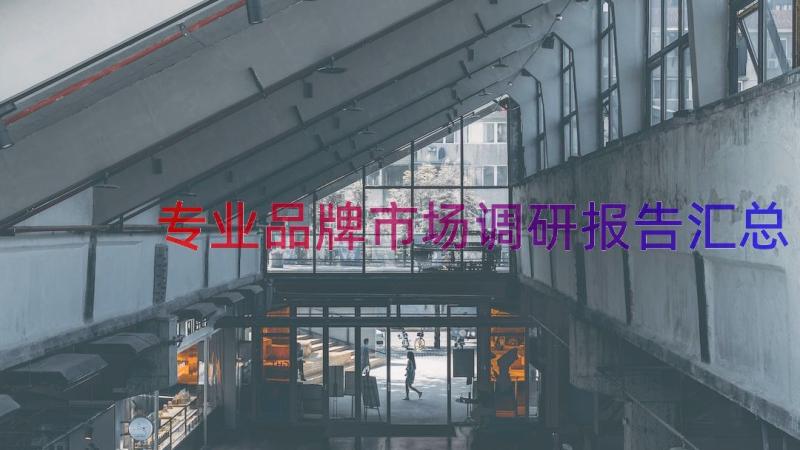 专业品牌市场调研报告（汇总16篇）