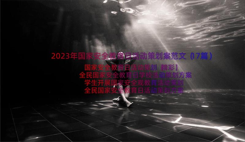 2023年国家安全教育日活动策划案范文（17篇）