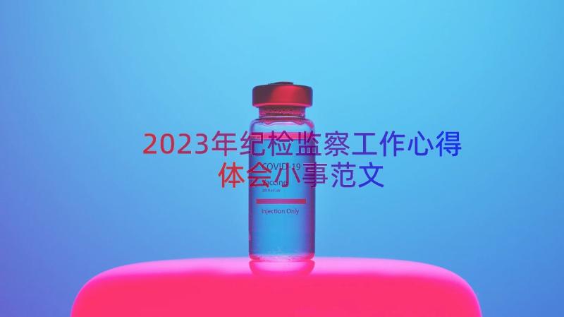 2023年纪检监察工作心得体会小事范文（19篇）