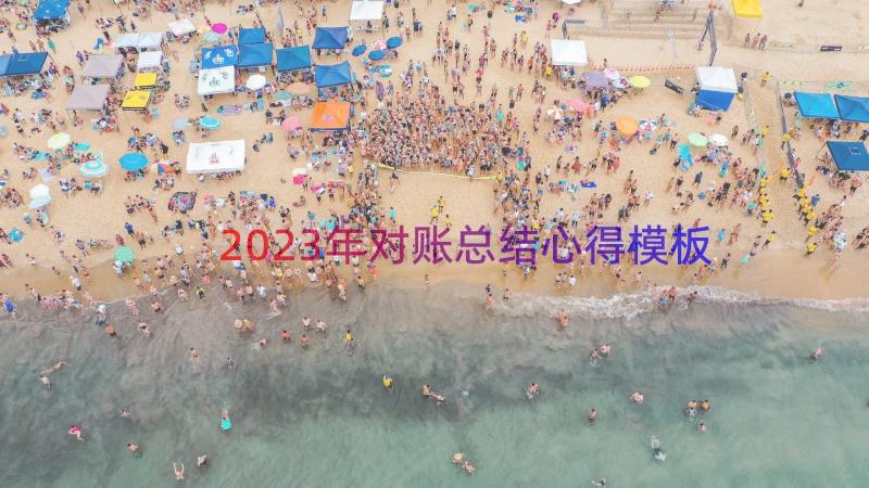 2023年对账总结心得（模板17篇）