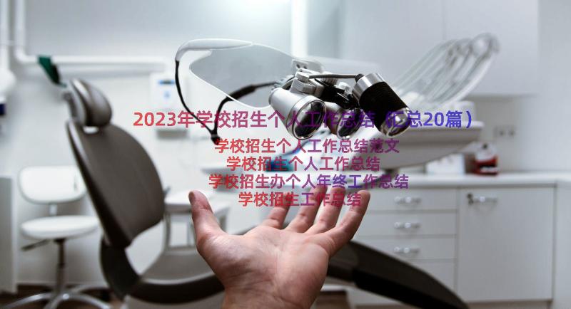 2023年学校招生个人工作总结（汇总20篇）