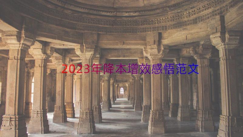 2023年降本增效感悟范文（16篇）