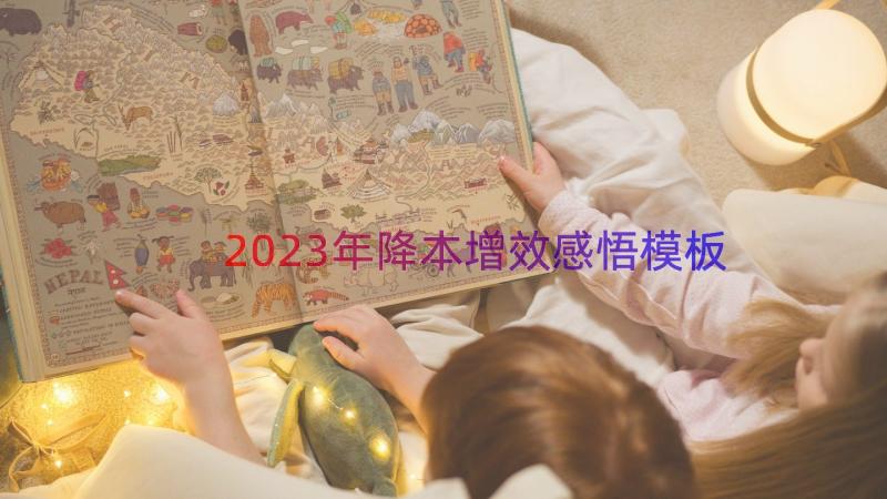 2023年降本增效感悟（模板19篇）