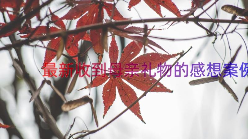 最新收到母亲礼物的感想（案例17篇）