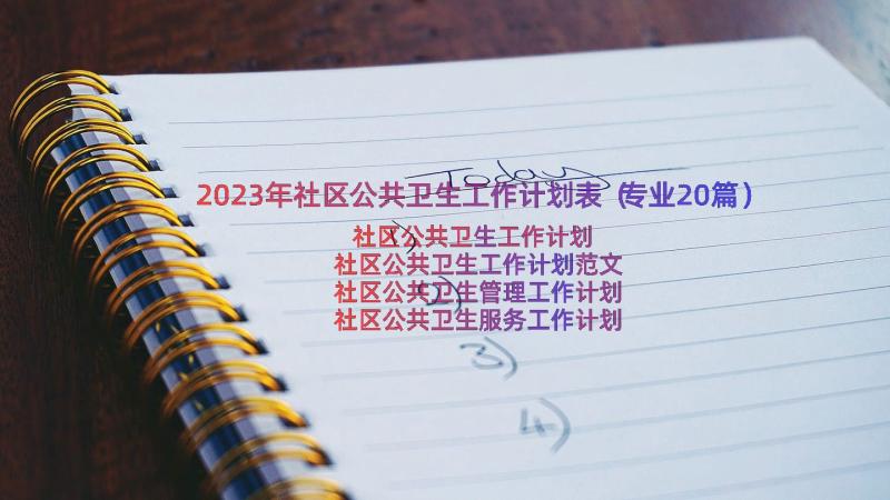 2023年社区公共卫生工作计划表（专业20篇）