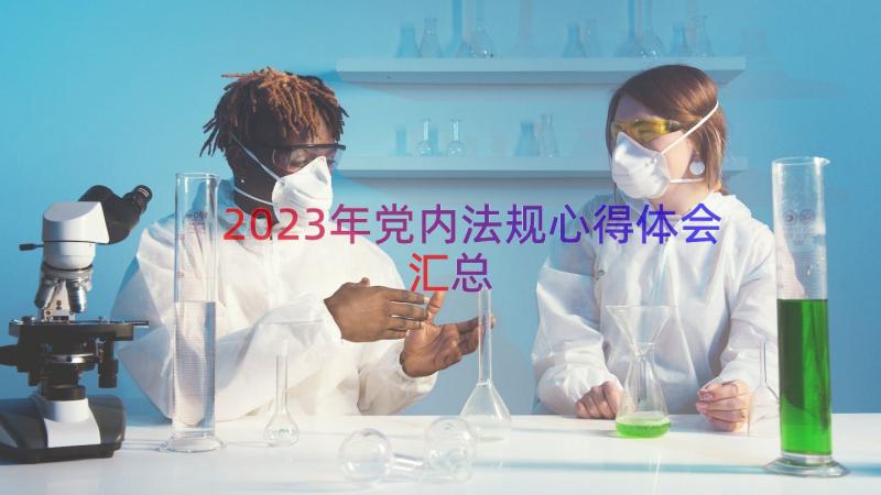 2023年党内法规心得体会（汇总13篇）