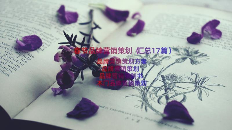 春节品牌营销策划（汇总17篇）