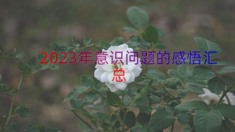 2023年意识问题的感悟（汇总13篇）