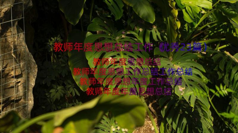 教师年度思想总结工作（优秀23篇）