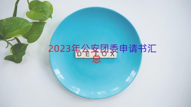 2023年公安团委申请书（汇总19篇）