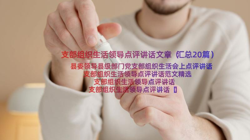 支部组织生活领导点评讲话文章（汇总20篇）