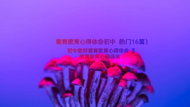 德育教育心得体会初中（热门16篇）