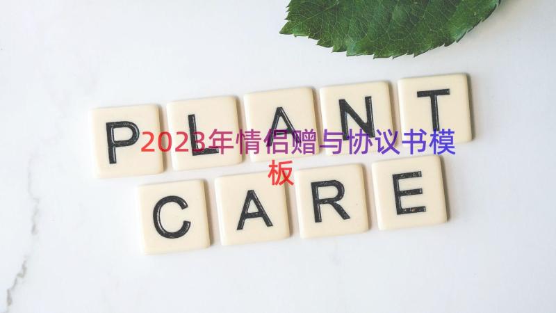 2023年情侣赠与协议书（模板13篇）