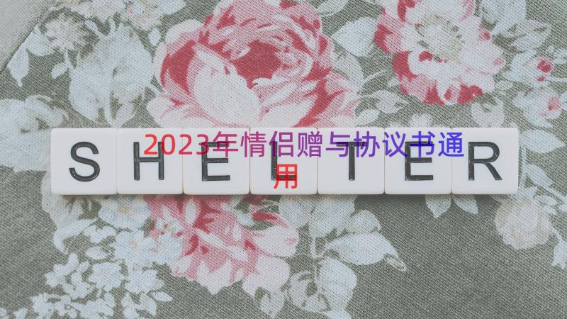 2023年情侣赠与协议书（通用15篇）