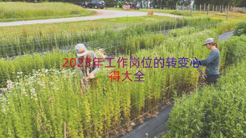 2023年工作岗位的转变心得大全（16篇）