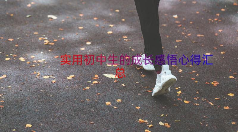 实用初中生的成长感悟心得（汇总14篇）