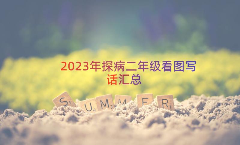 2023年探病二年级看图写话（汇总16篇）