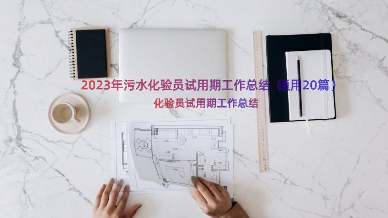 2023年污水化验员试用期工作总结（通用20篇）