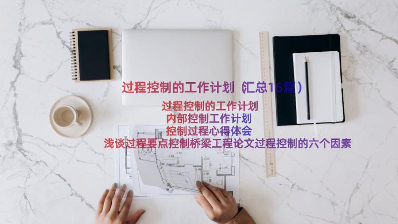 过程控制的工作计划（汇总16篇）