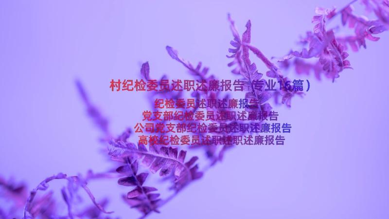 村纪检委员述职述廉报告（专业16篇）