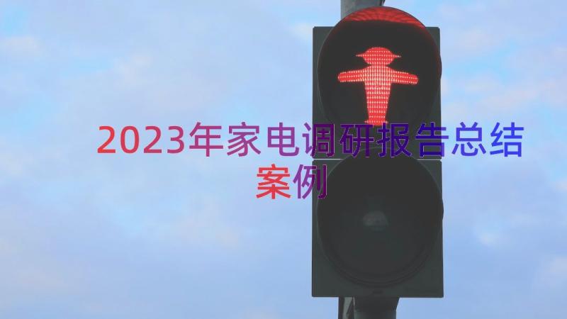 2023年家电调研报告总结（案例17篇）