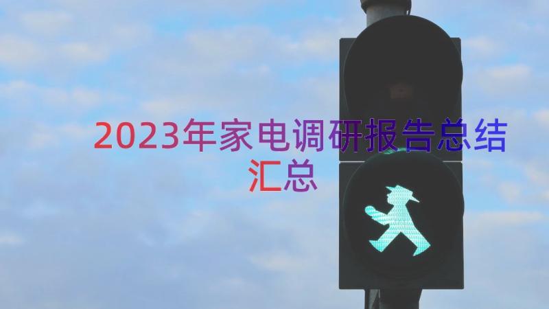 2023年家电调研报告总结（汇总15篇）