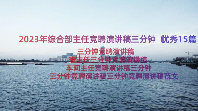 2023年综合部主任竞聘演讲稿三分钟（优秀15篇）