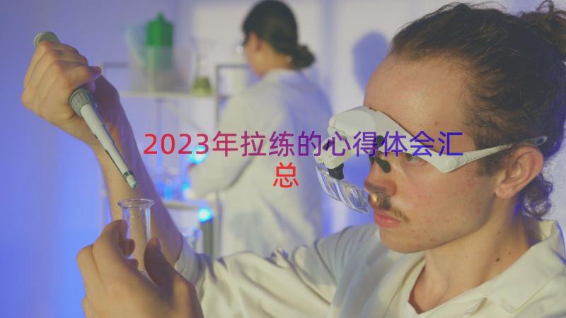 2023年拉练的心得体会（汇总16篇）