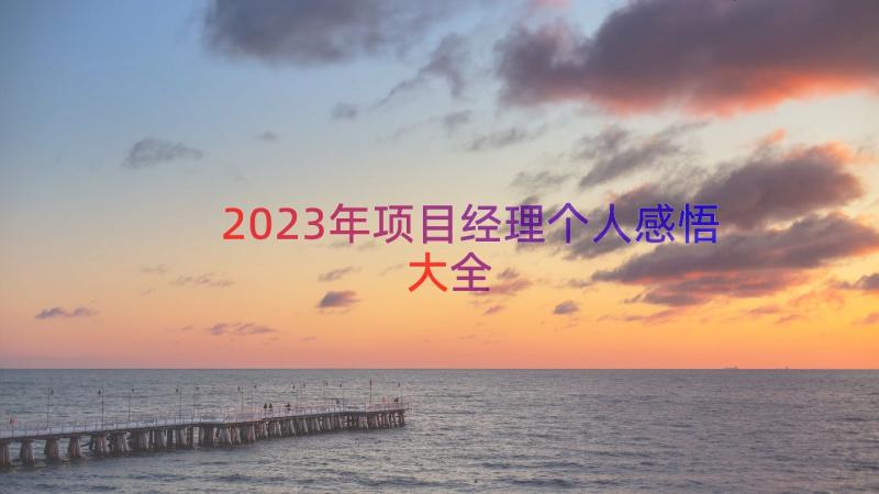 2023年项目经理个人感悟大全（13篇）