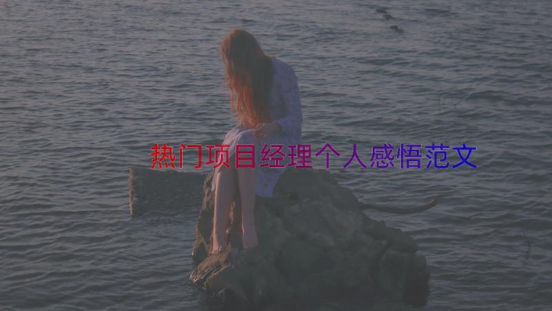 热门项目经理个人感悟范文（15篇）