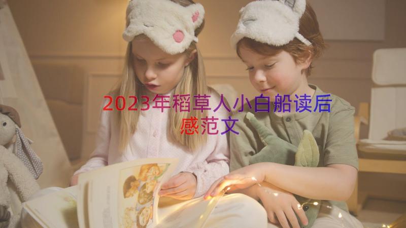 2023年稻草人小白船读后感范文（16篇）