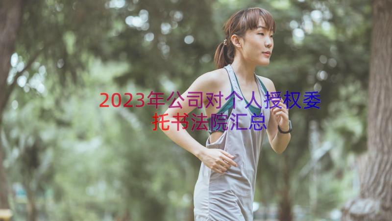 2023年公司对个人授权委托书法院（汇总19篇）