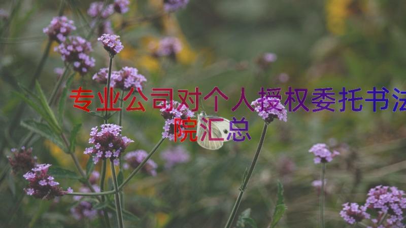 专业公司对个人授权委托书法院（汇总20篇）