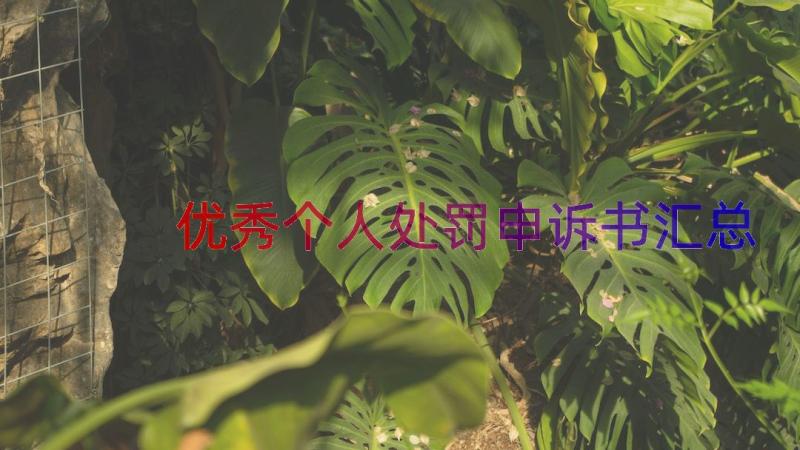 优秀个人处罚申诉书（汇总15篇）