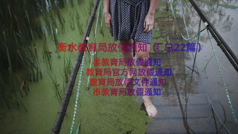 衡水教育局放假通知（汇总22篇）