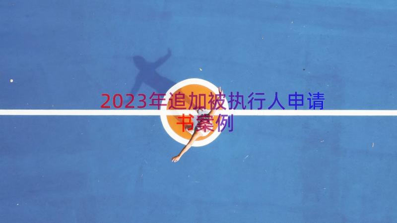 2023年追加被执行人申请书（案例12篇）