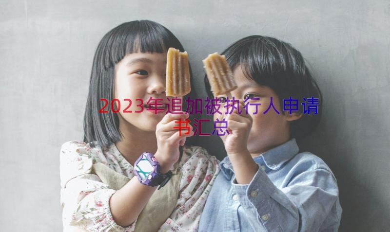 2023年追加被执行人申请书（汇总15篇）