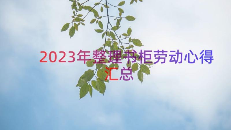 2023年整理书柜劳动心得（汇总15篇）