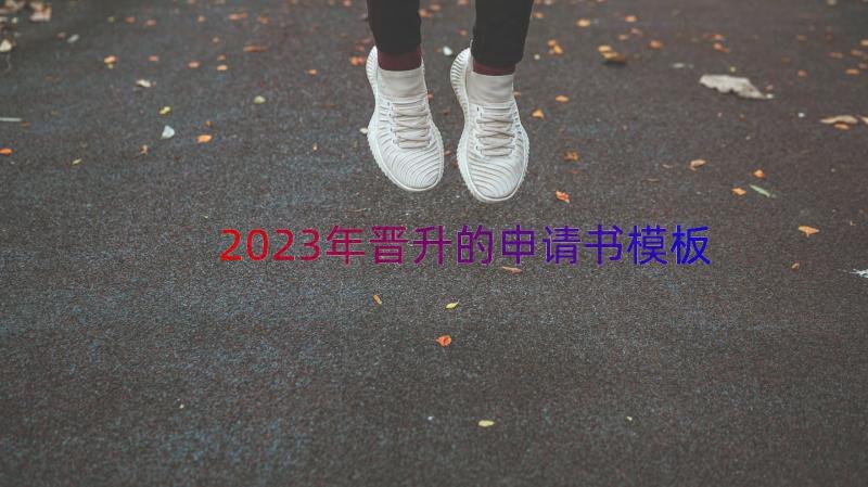 2023年晋升的申请书（模板17篇）