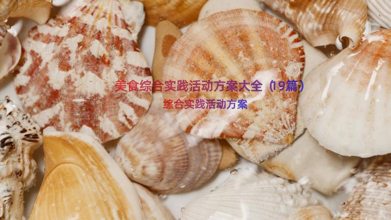 美食综合实践活动方案大全（19篇）