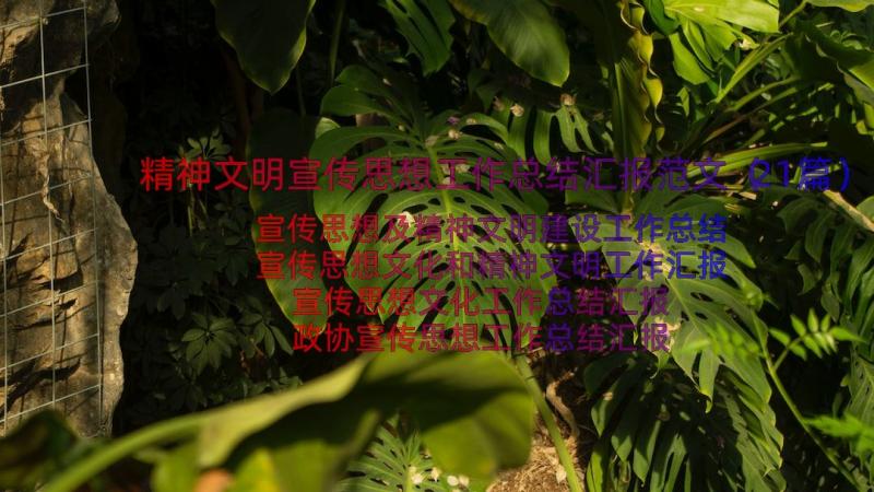 精神文明宣传思想工作总结汇报范文（21篇）