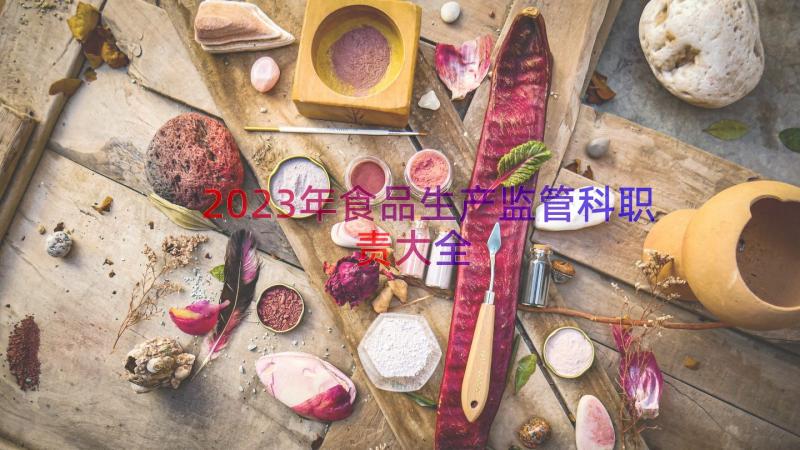 2023年食品生产监管科职责大全（19篇）