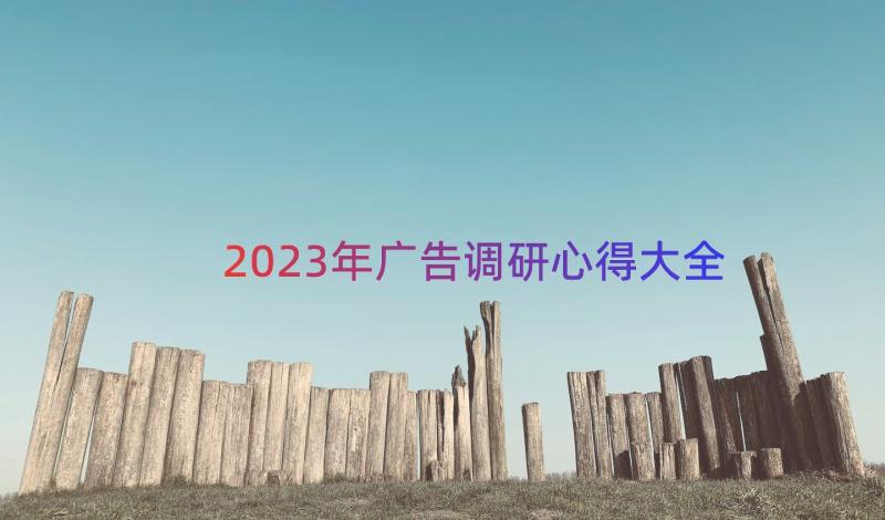 2023年广告调研心得大全（17篇）