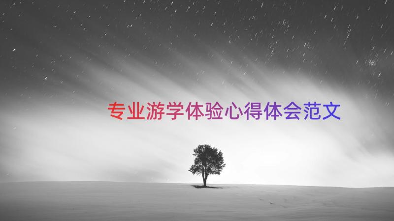 专业游学体验心得体会范文（14篇）