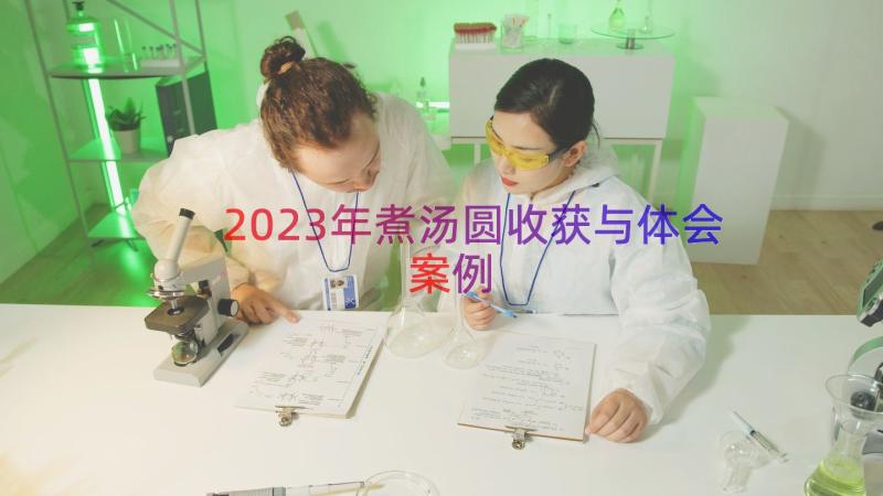 2023年煮汤圆收获与体会（案例15篇）