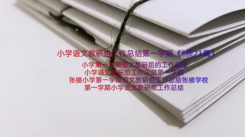 小学语文教研组工作总结第一学期（优质21篇）