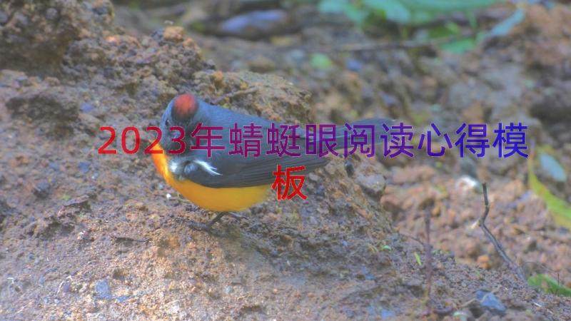 2023年蜻蜓眼阅读心得（模板16篇）