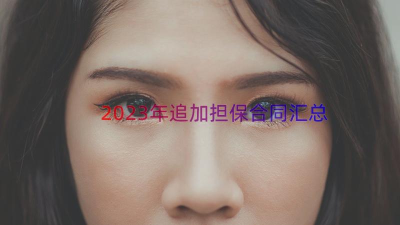 2023年追加担保合同（汇总17篇）