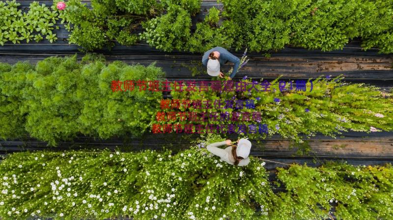 教师节班主任发言稿理由大全（21篇）