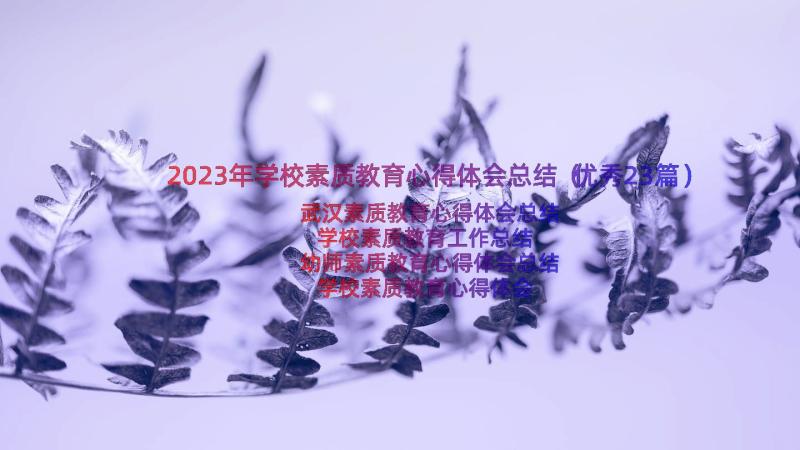 2023年学校素质教育心得体会总结（优秀23篇）